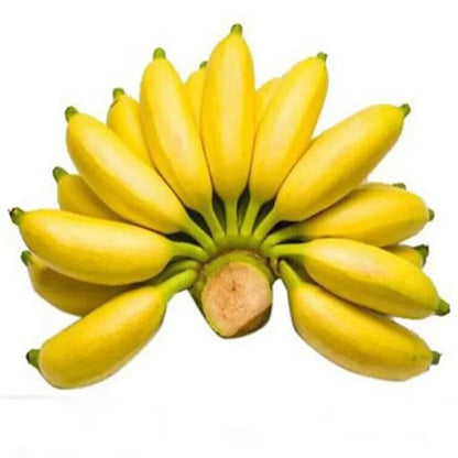 Artificial Banana Props