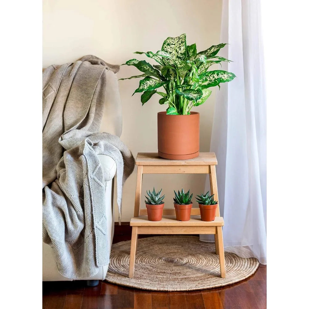 Terracotta Planter with Drainage Hole and Saucer