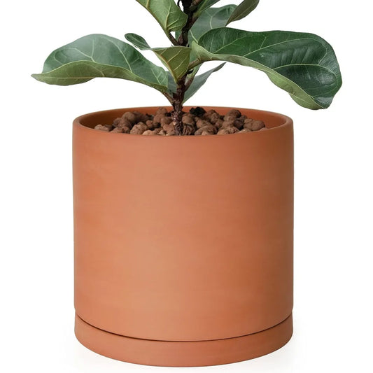 Terracotta Planter with Drainage Hole and Saucer